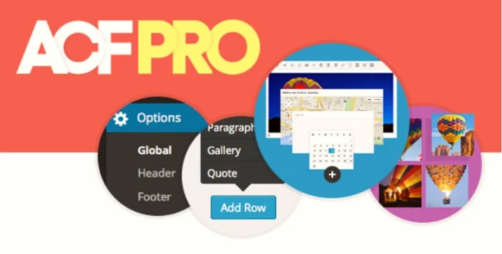 Download ACF Pro Free – Advanced Custom Fields Plugin